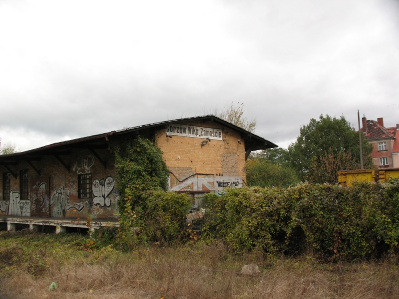 Gorzów Zamoście 10