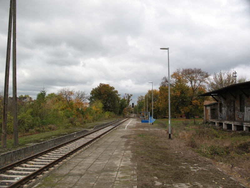 Gorzów Zamoście 11