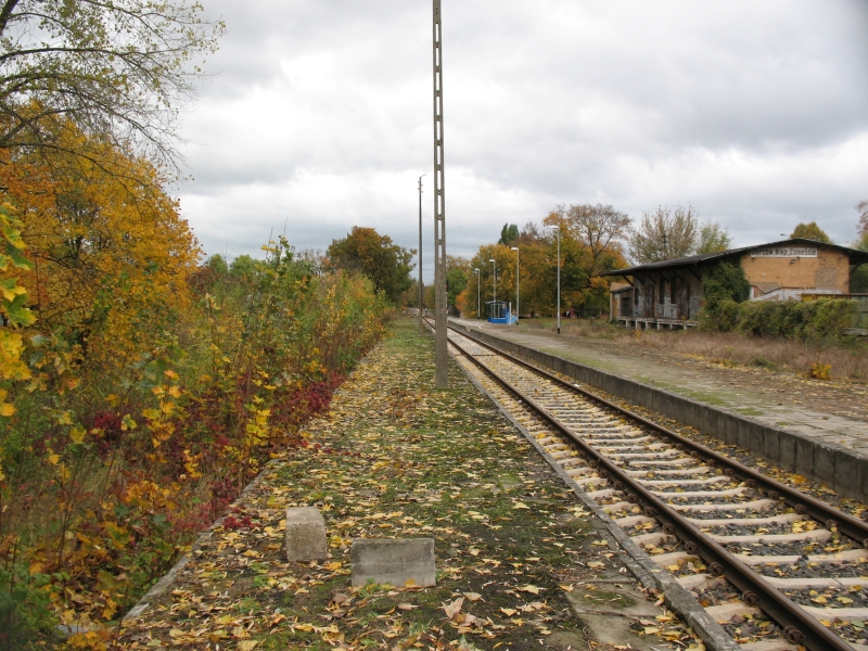 Gorzów Zamoście 12