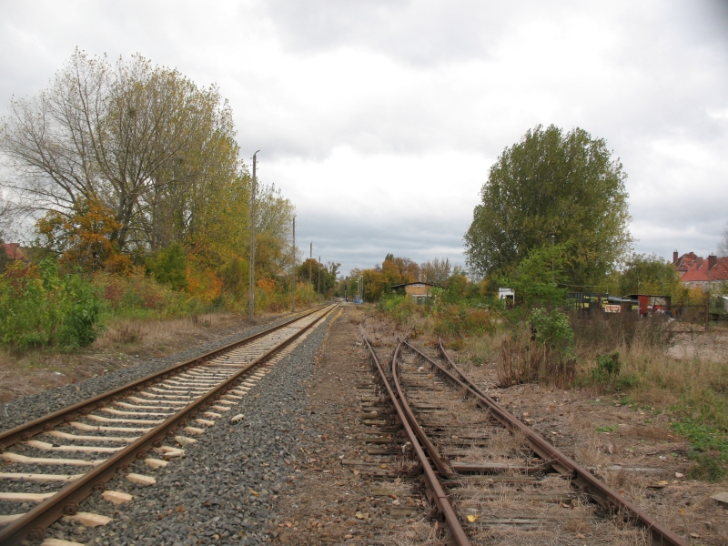 Gorzów Zamoście 13