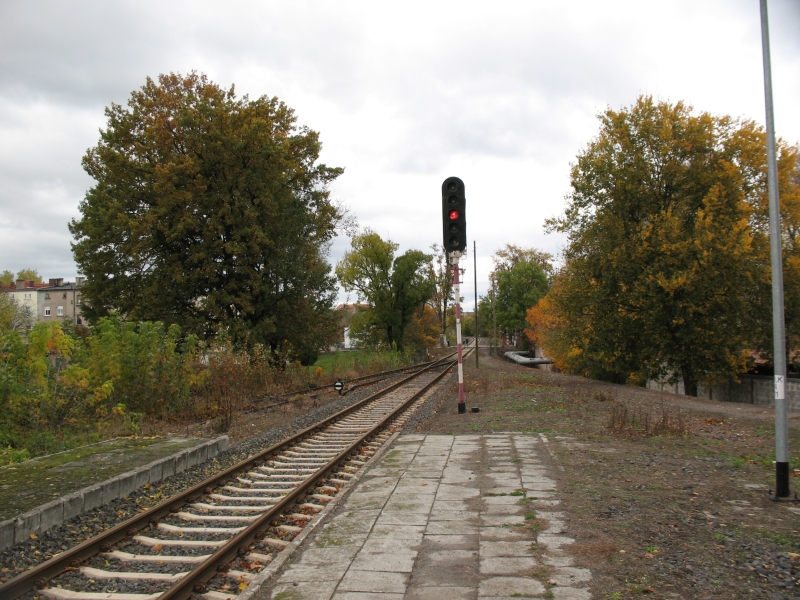 Gorzów Zamoście 15