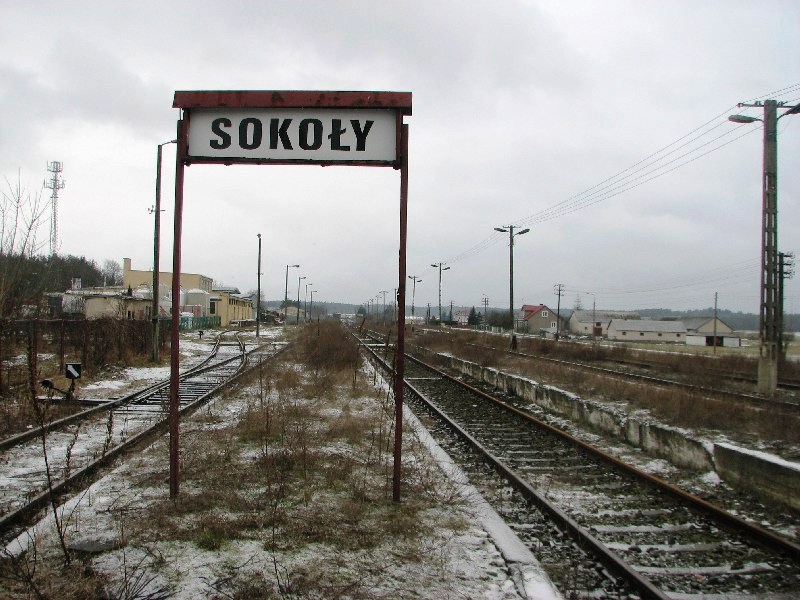 Sokoły 03