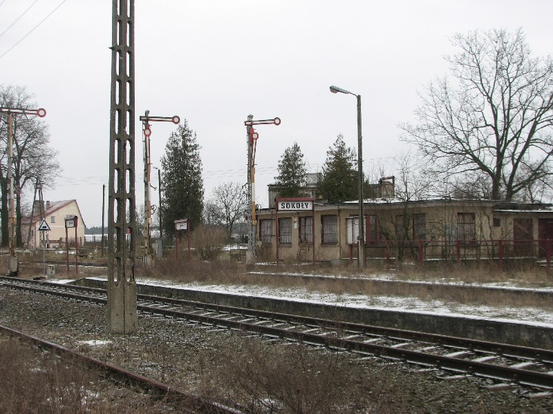 Sokoły 07