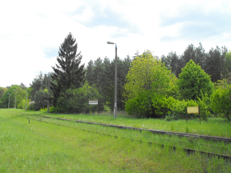 Gutowo Pomorskie 06