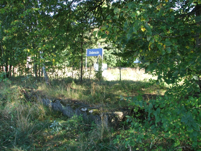 Dobrocin 14