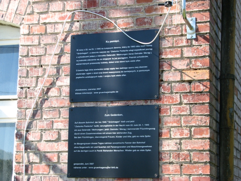 Zielonka Pasłęcka 06