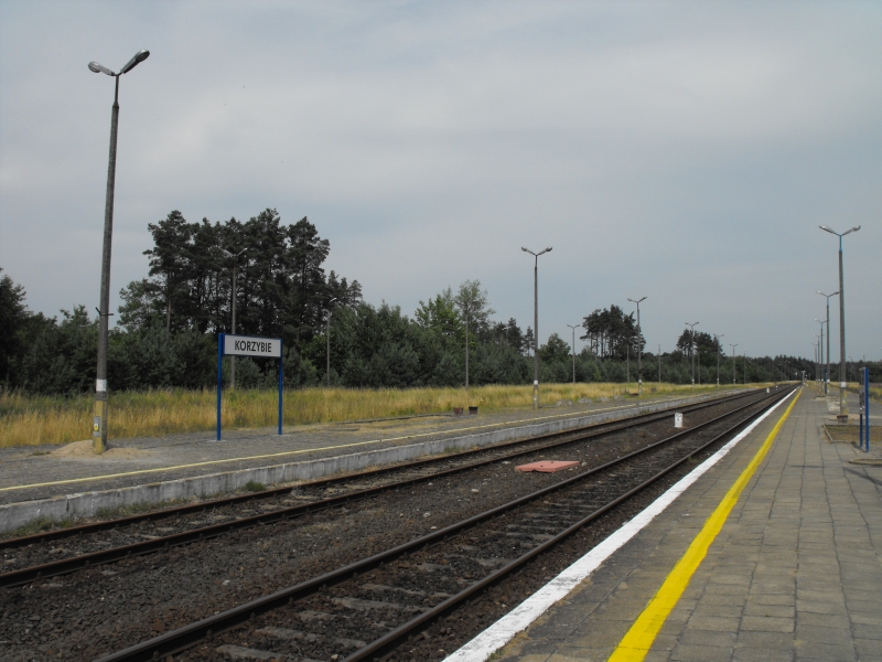 Korzybie 08