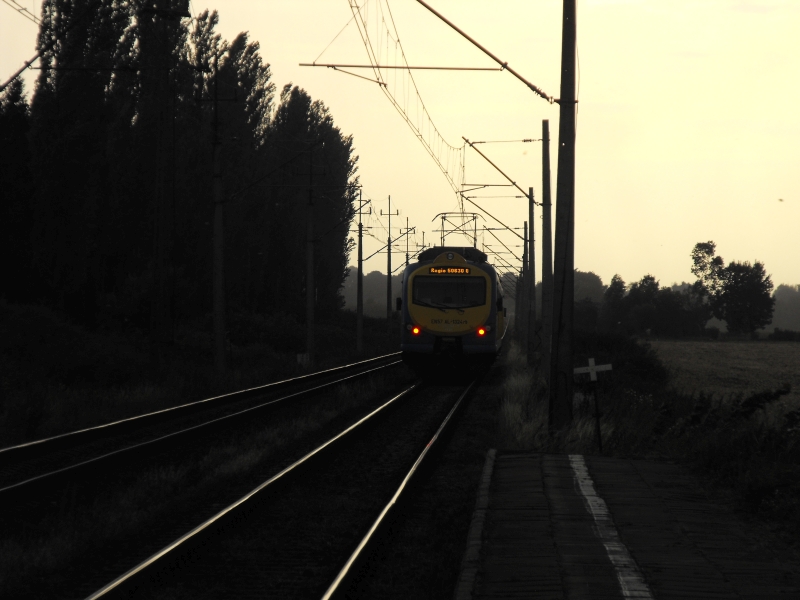 Królewo Malborskie 01