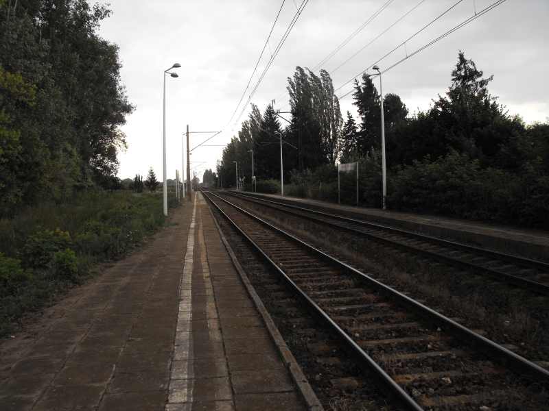 Królewo Malborskie 02