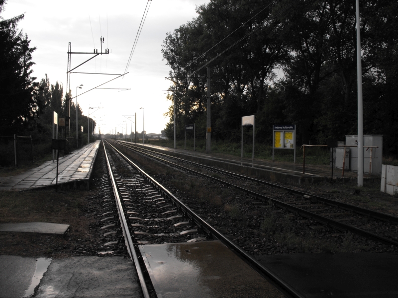 Królewo Malborskie 06