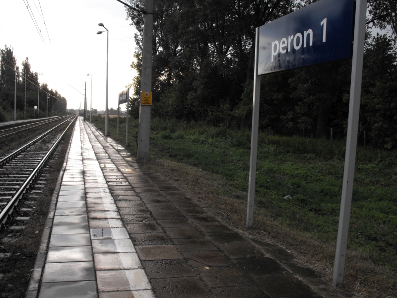 Królewo Malborskie 08