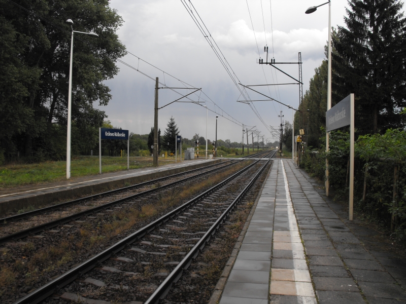 Królewo Malborskie 11