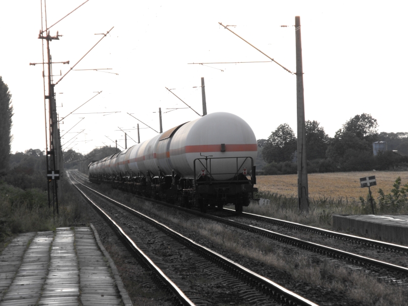 Królewo Malborskie 12