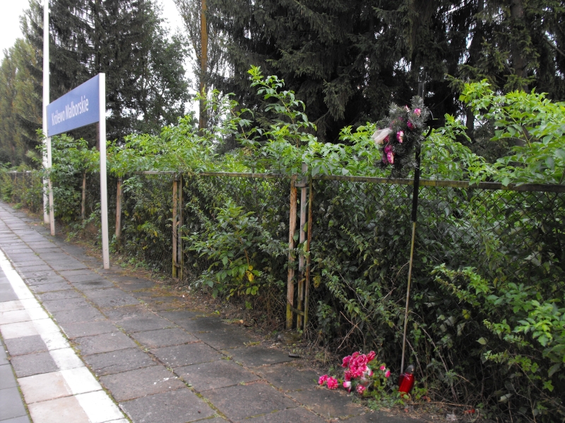 Królewo Malborskie 14