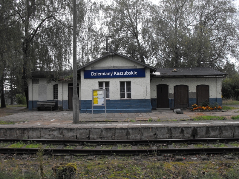 Dziemiany 15