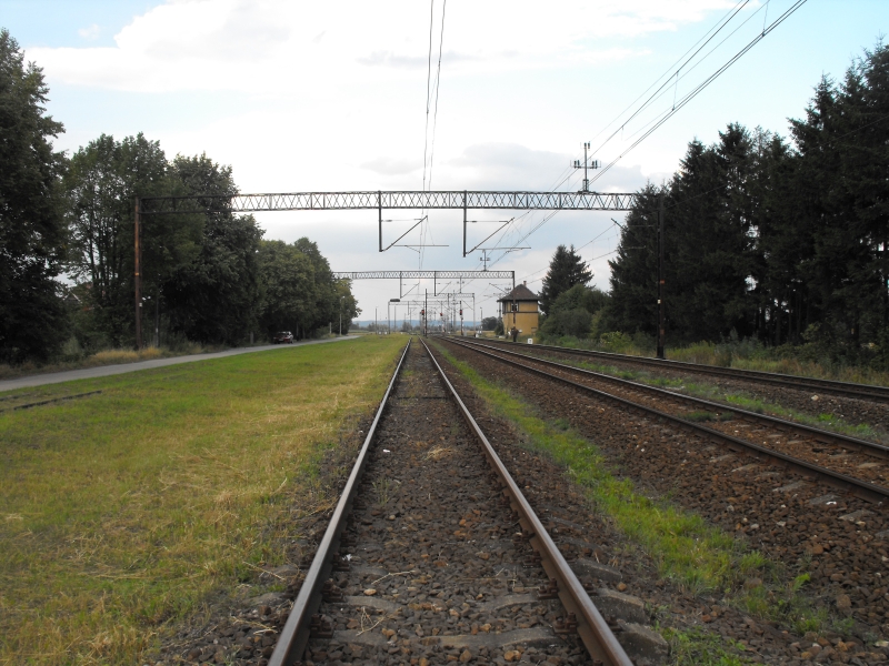 Gronowo Elbląskie 03