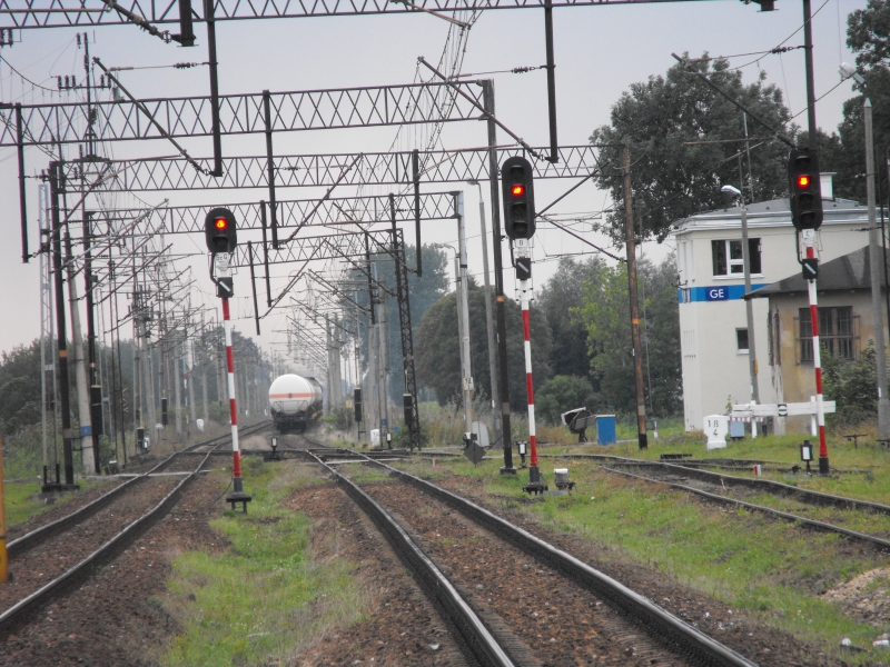 Gronowo Elbląskie 09