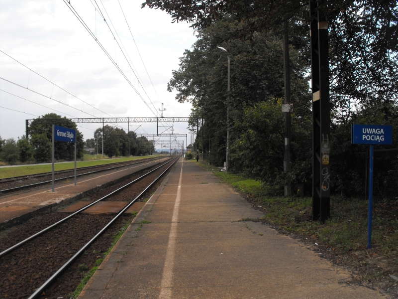 Gronowo Elbląskie 14