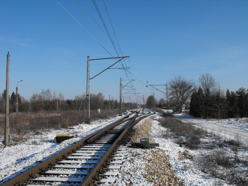 Michałów Reginów 13