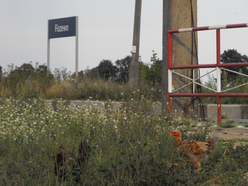 Fiszewo 23