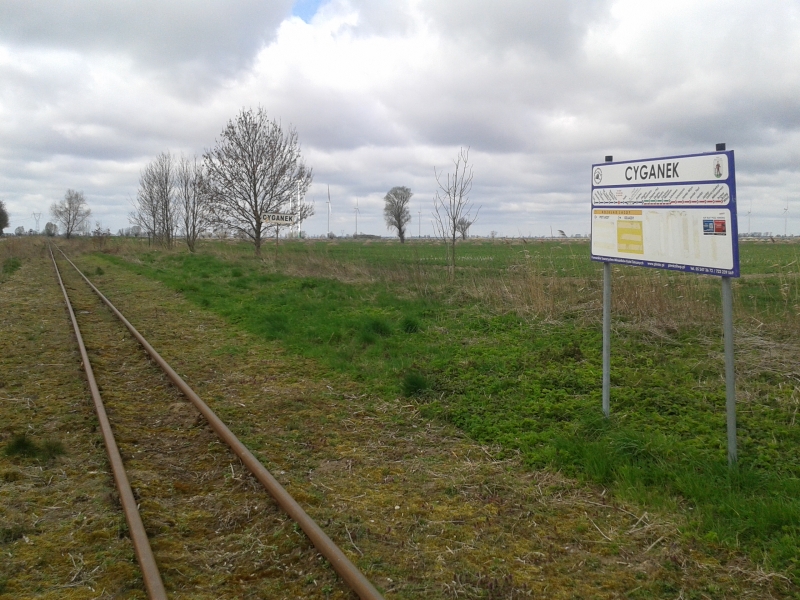 Cyganek 03