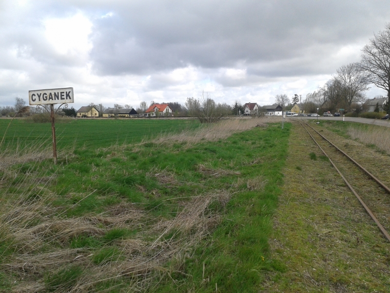 Cyganek 08