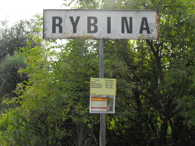 Rybina 07