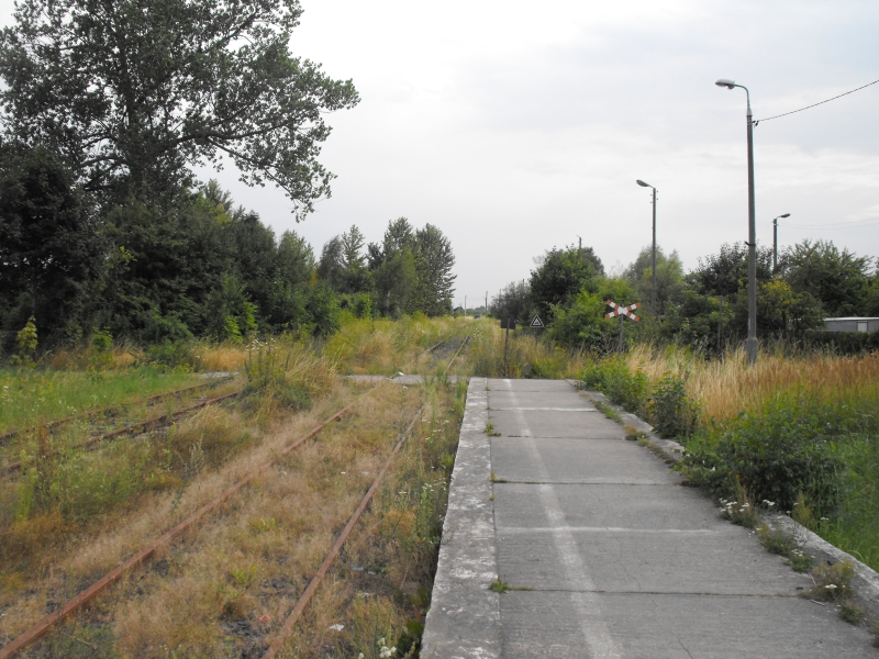 Nowy Dwór Gdański 03