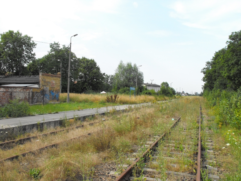 Nowy Dwór Gdański 05