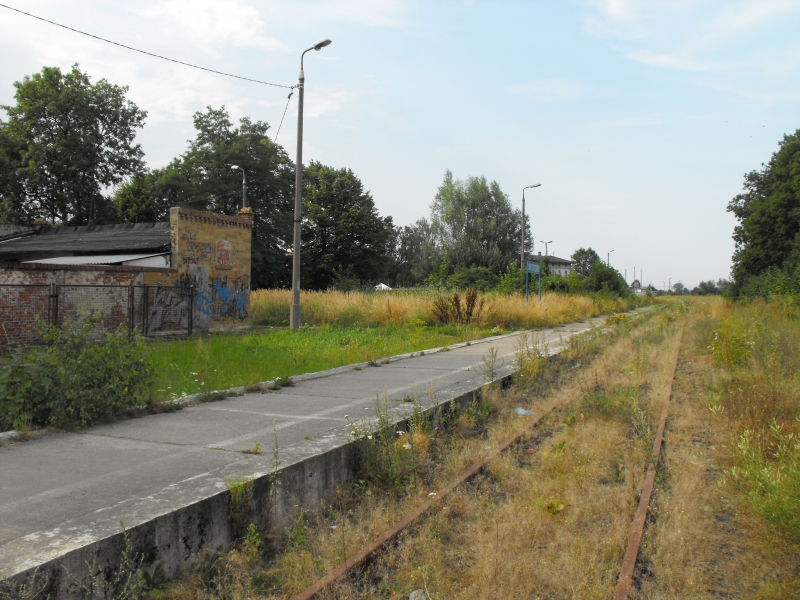 Nowy Dwór Gdański 06