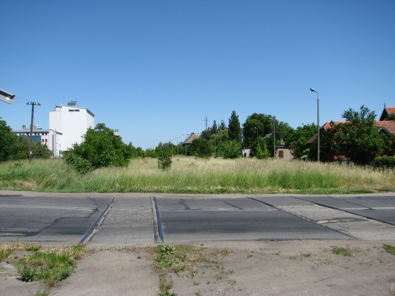 Golub-Dobrzyń 26