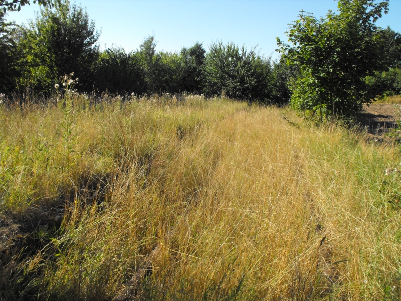 Rekowo Lęborskie 05