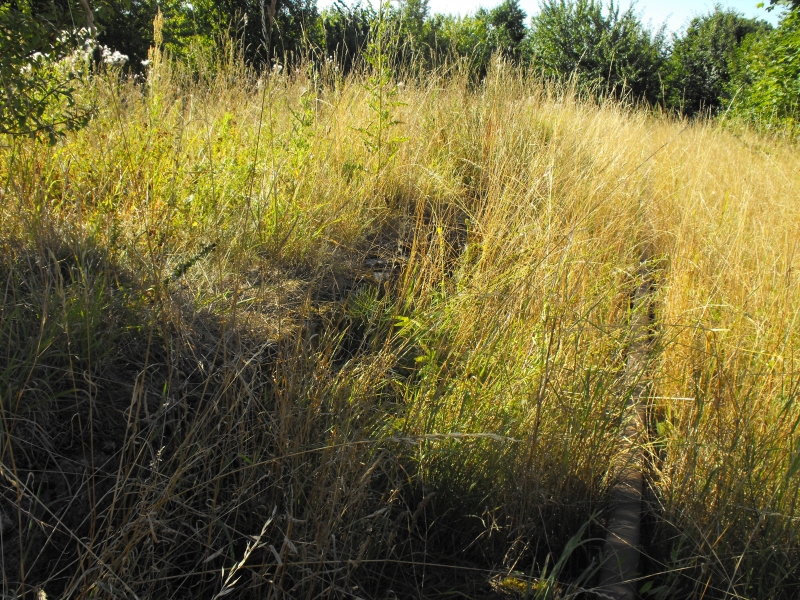 Rekowo Lęborskie 06