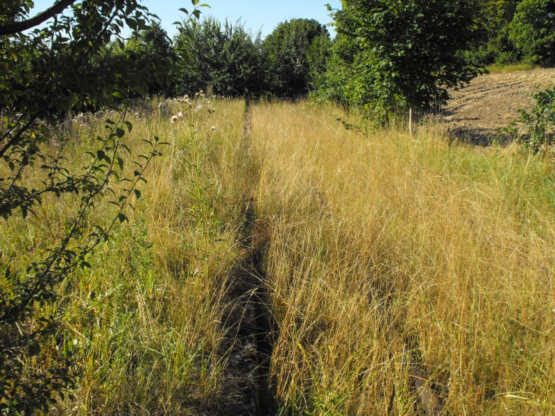 Rekowo Lęborskie 07