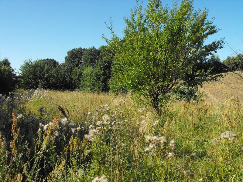 Rekowo Lęborskie 08