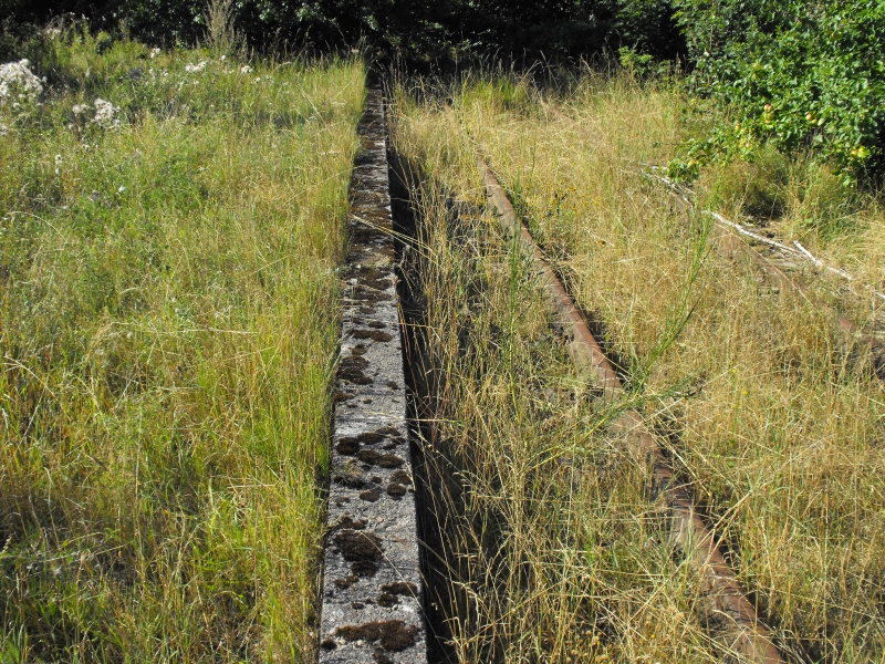 Rekowo Lęborskie 09