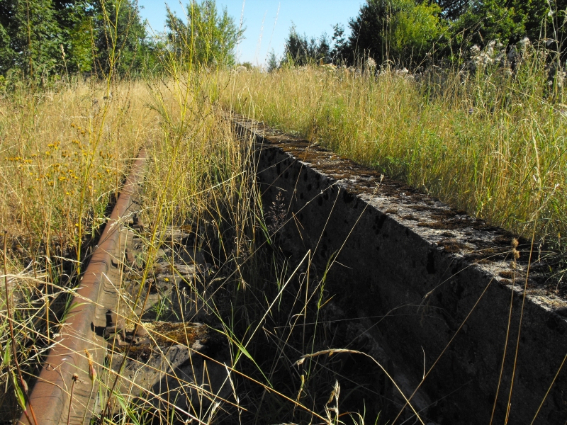 Rekowo Lęborskie 10