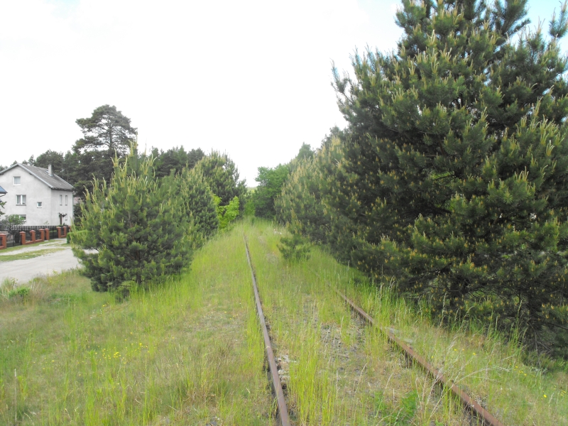 Kamienica Królewska 01