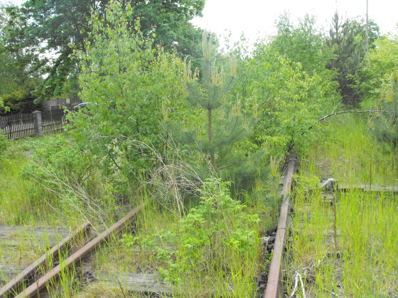 Kamienica Królewska 02