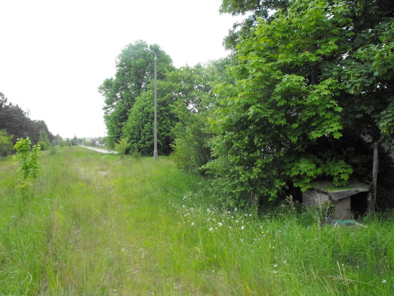 Kamienica Królewska 05