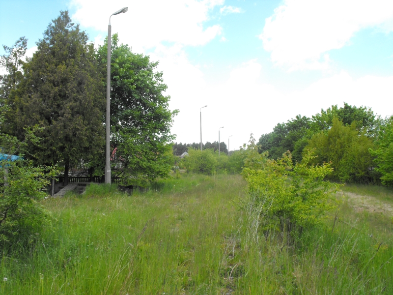 Kamienica Królewska 06