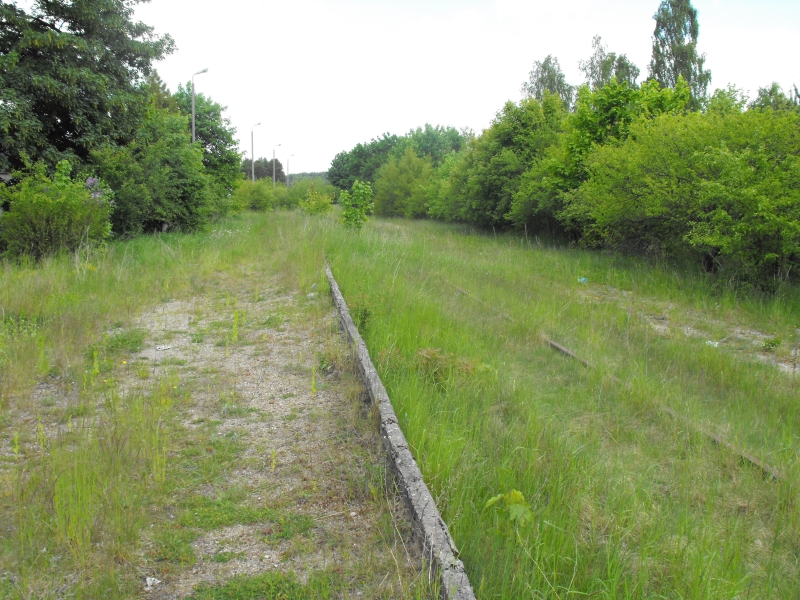 Kamienica Królewska 09