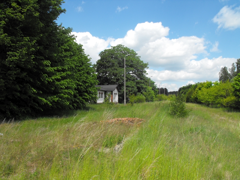 Kamienica Królewska 12