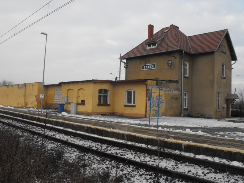 Tymień 08