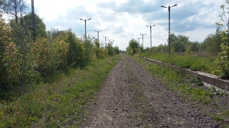 Lidzbark Warmiński 06