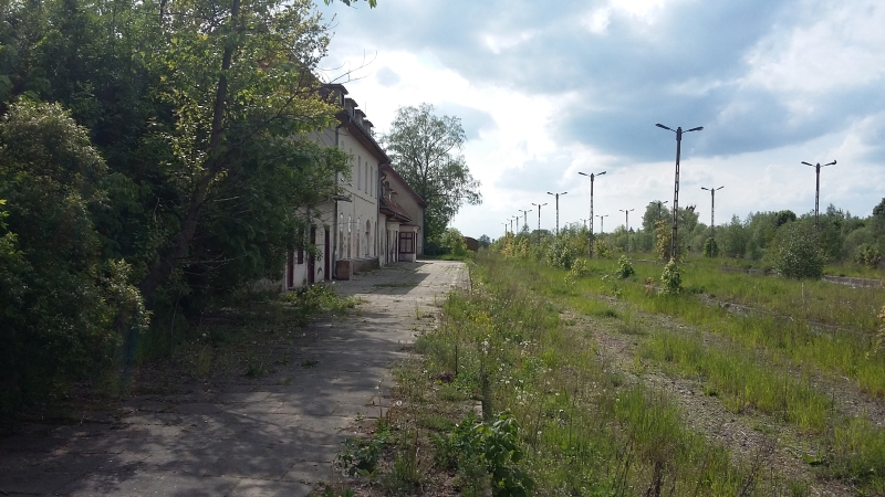 Lidzbark Warmiński 13