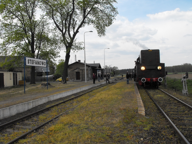 Stefanowo 24