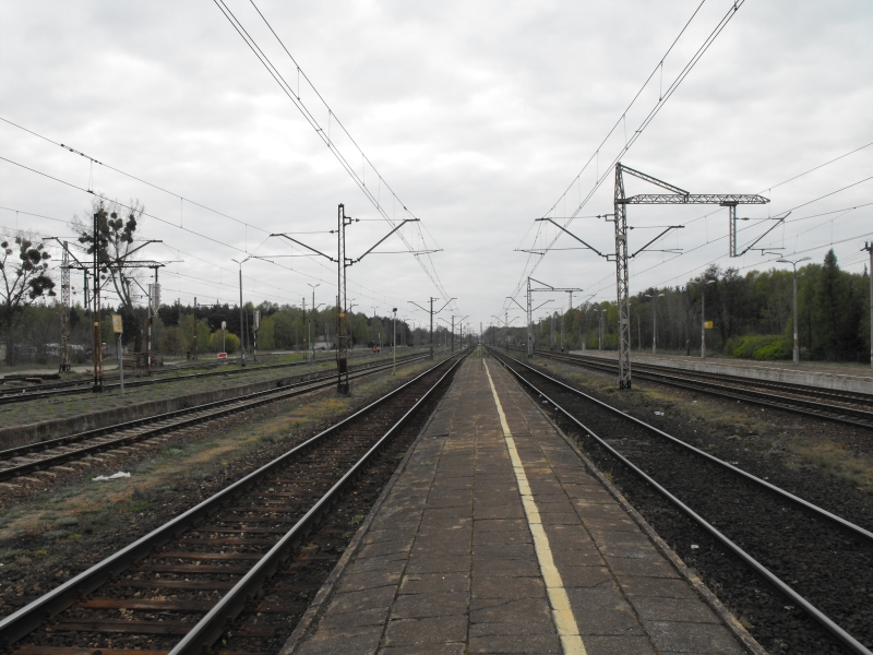 Nowa Wieś Wielka 12