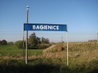 bagienice 02