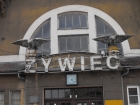 żywiec 01